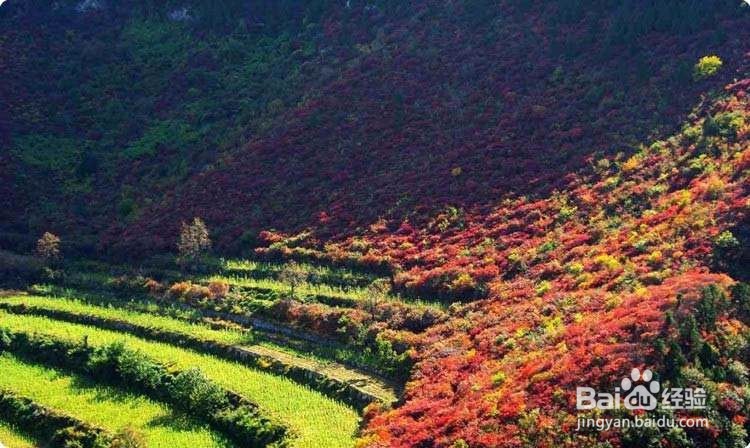 齐山风景区游玩攻略