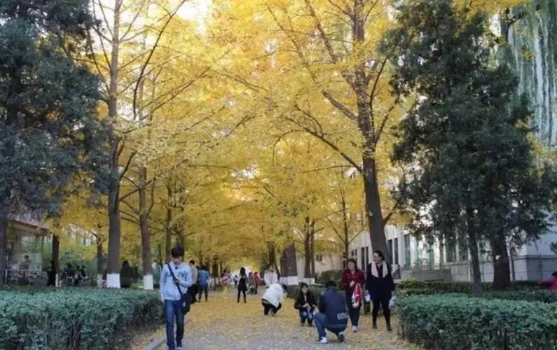 学院路八大院校是什么