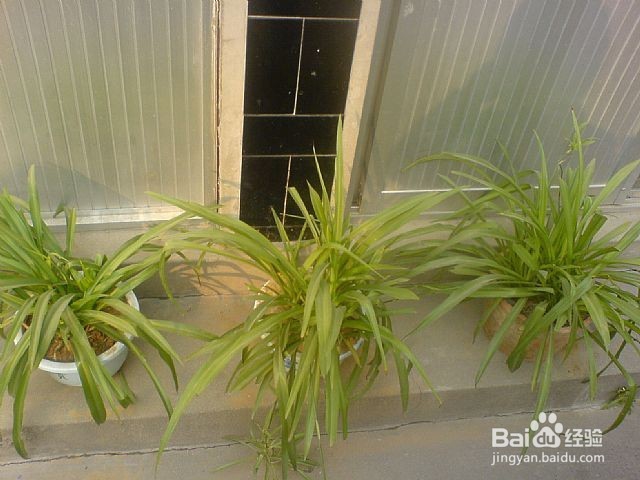 除甲醛，那些谣言你信了吗