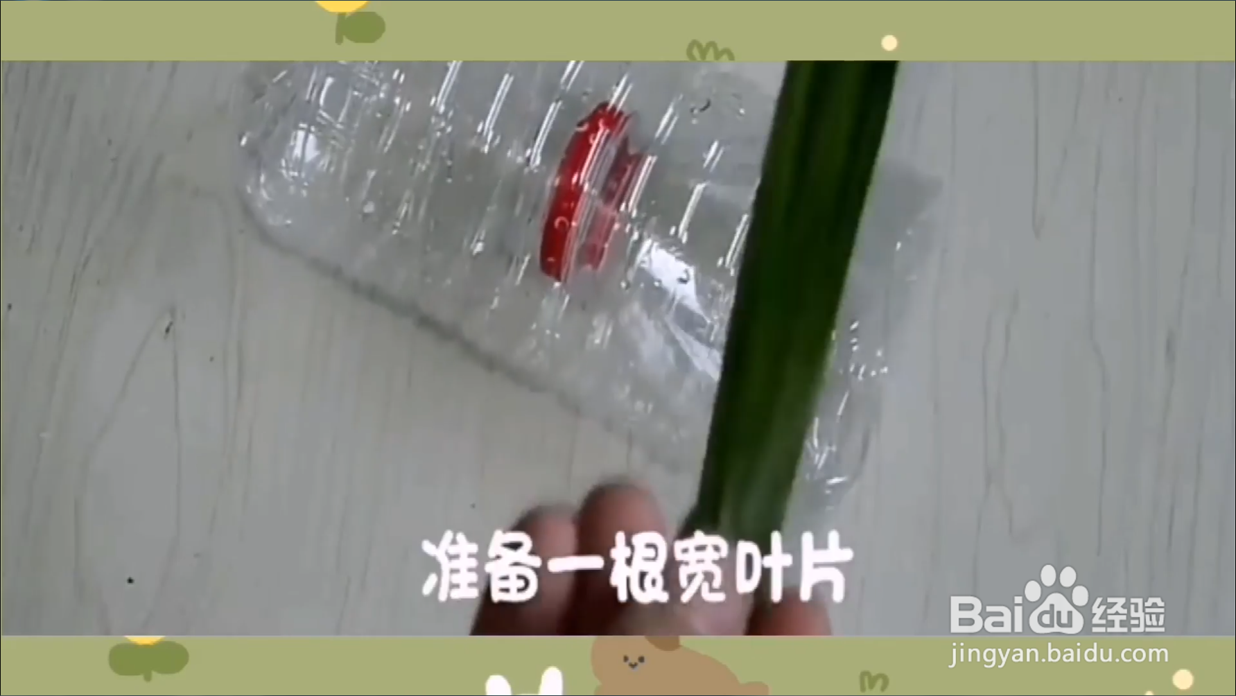 如何去除蟑螂？