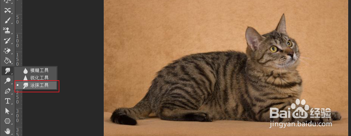 ps如何使用涂抹工具