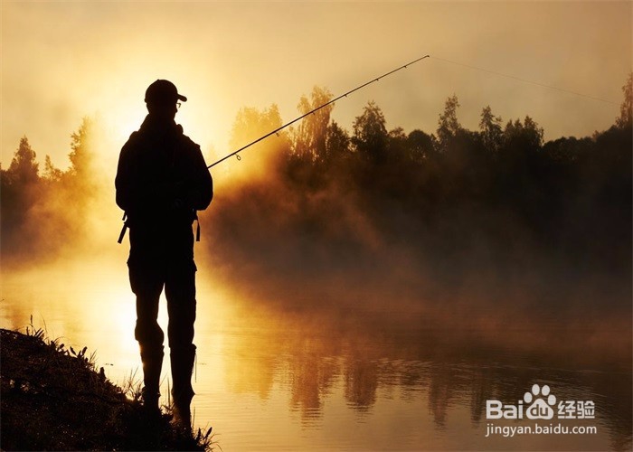 如何提高钓鱼技术