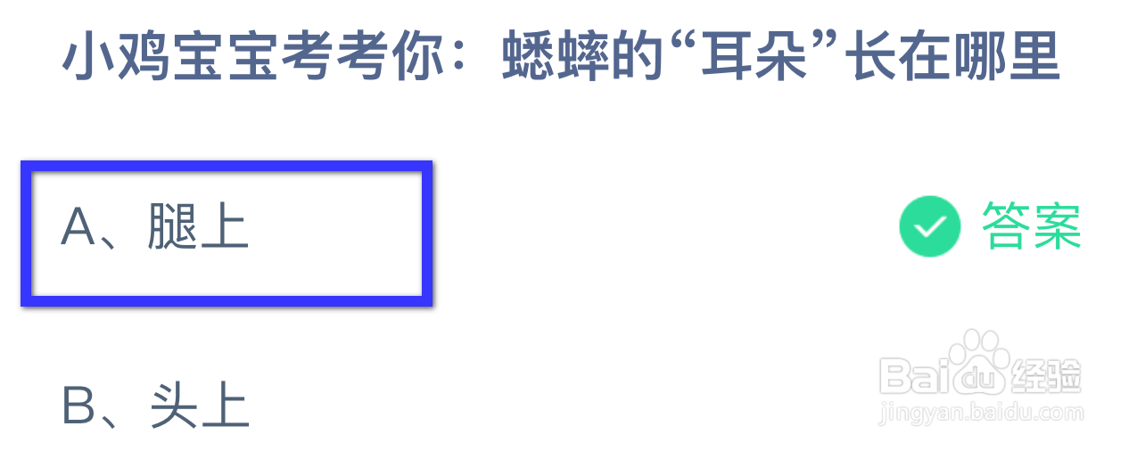 蚂蚁庄园答案今日最新2024年8月31日