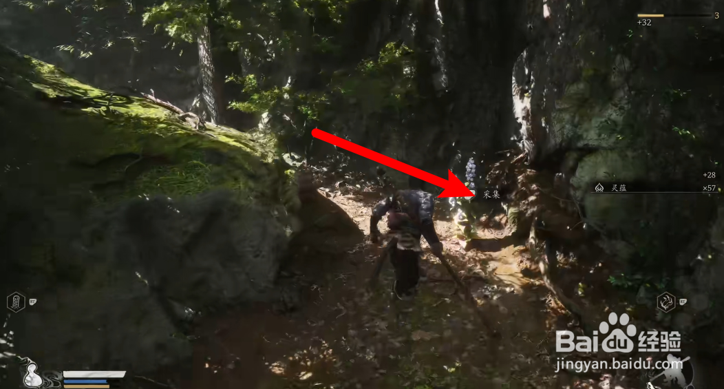 黑神话悟空龙胆种子怎么获得