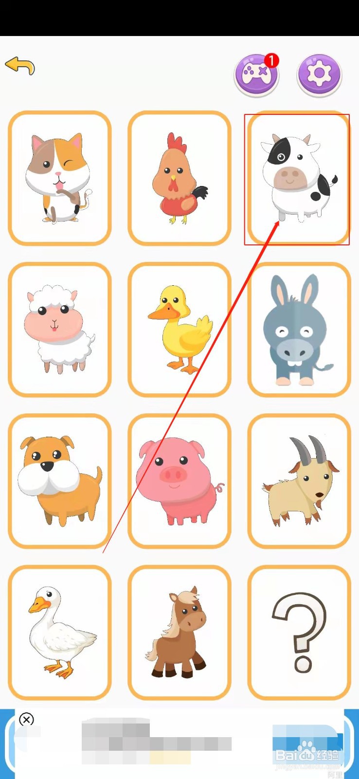 如何观察小动物？