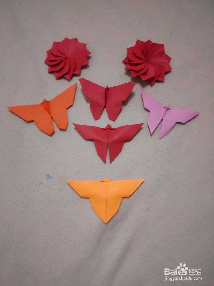 工艺美术馆：蝴蝶花园。