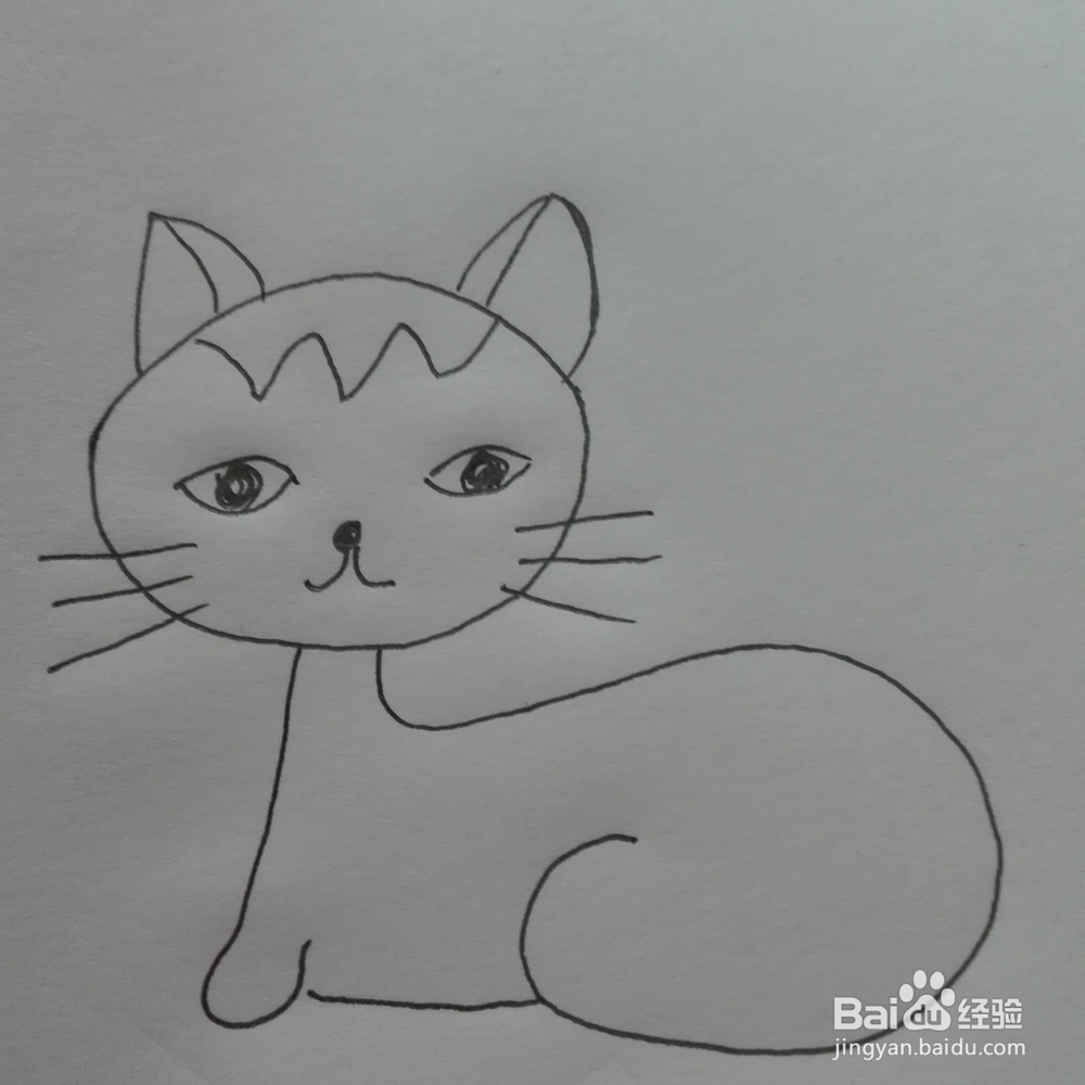 简笔画--小猫咪