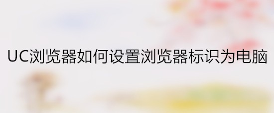 UC浏览器如何设置浏览器标识为电脑
