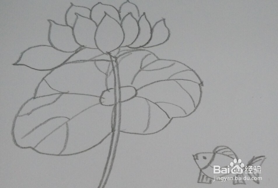 油画棒画【荷花】简单教程