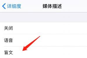 怎么把旁白中的媒体描述改为盲文