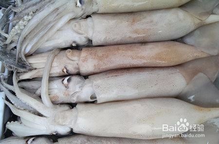 怎么买到新鲜的鱿鱼？