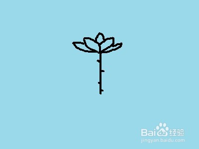 简笔画系列之怎样画荷花
