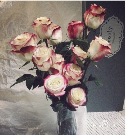 结婚纪念日送老公什么礼物：[1]结婚纪念日