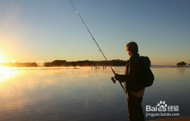 春天如何钓鲫鱼