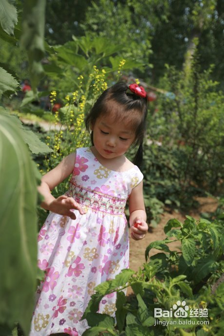 端午假期第二天