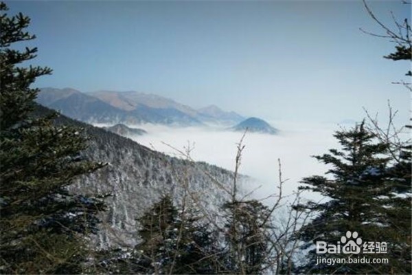 成都好玩的地方推荐