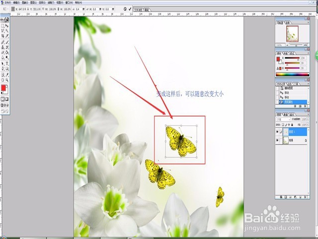 Photoshop套索工具