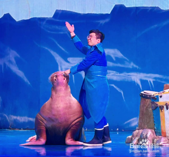 大连圣亚海洋管攻略（三）