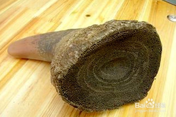 怎样使用犀牛角和白豆蔻？-----中药的使用