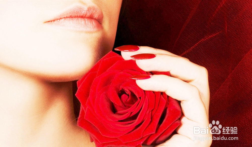 性感魅力、丰胸配方