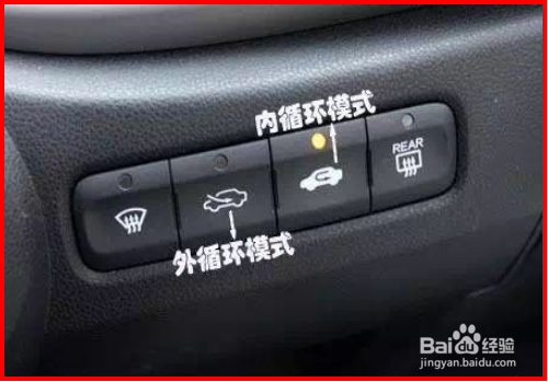 如何防止动物进入汽车