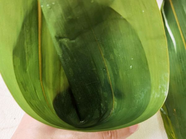 紫色浪漫星空水晶粽丨梦幻唯美