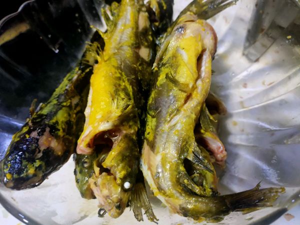 老少皆宜酸汤黄辣丁