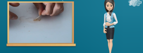 胶带怎么缠圆球