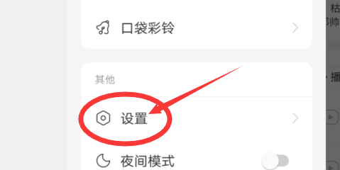 网易云音乐怎么打开使用3G/4G/5G网络下载