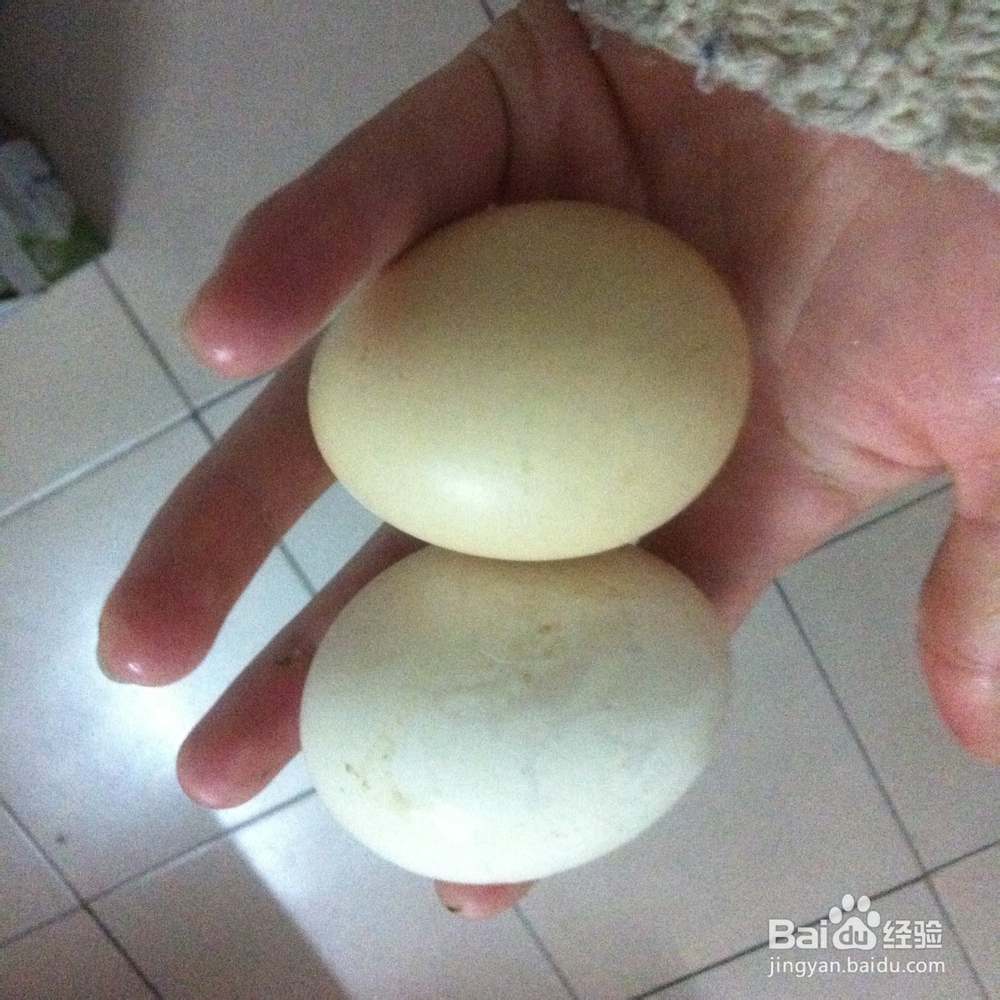 两个人的小日子：[16]韭菜煎鸡蛋