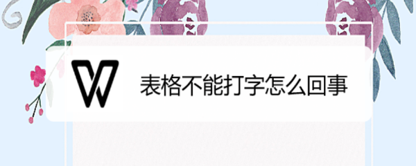 表格不能打字怎么回事