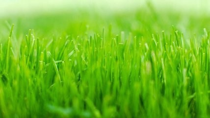 清明节期间山东有哪些好玩的习俗习惯