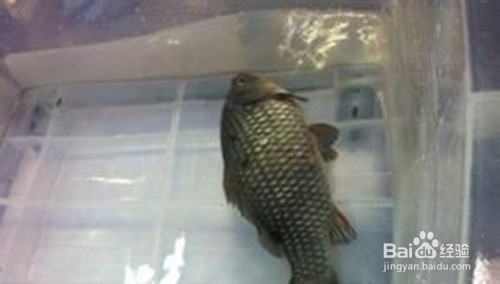 几个做饭的小技巧送给你，让你的厨艺大显身手