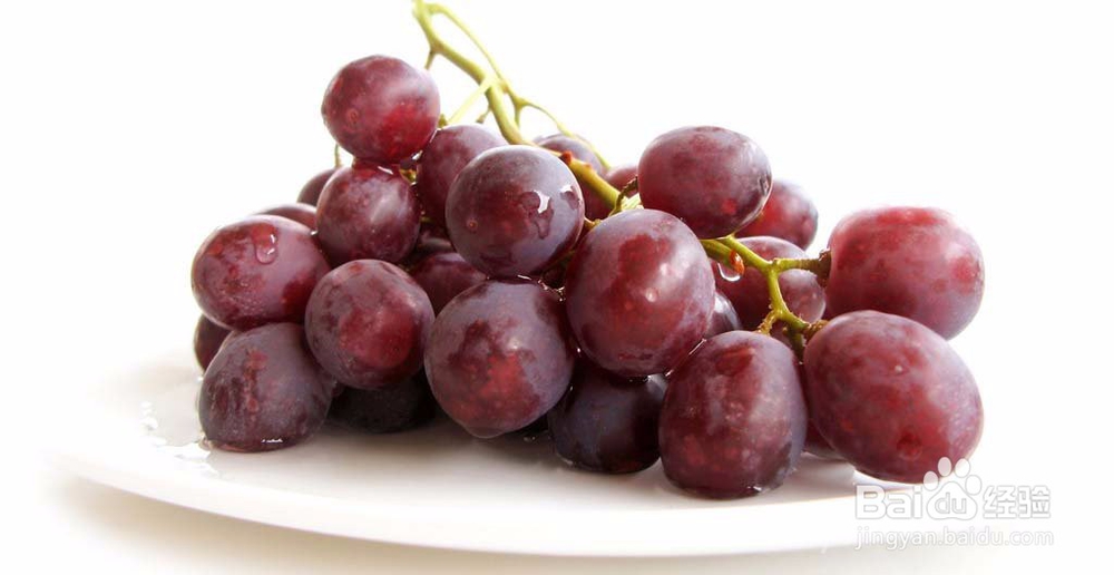 润肺止咳吃什么食物好