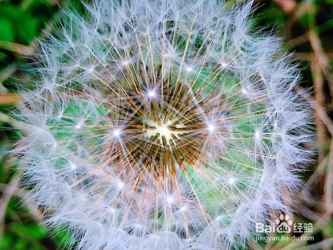 手机拍摄图片之最重要的构图