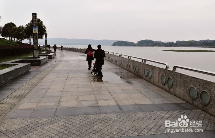 如何参观岳阳南湖公园的观光台