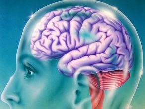 黑豆有什么功效与作用呢？