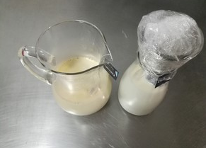 蜜盏奶吃亲手制作冷泡奶茶