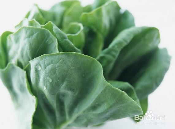 增强记忆力吃些什么食物好