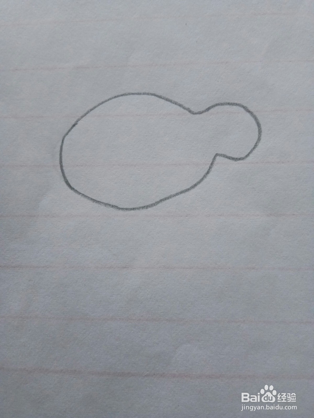 简笔画木瓜的画法2