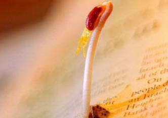 如何度过人生最贫穷时刻