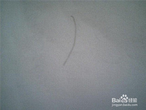 简笔画大树是这样画的