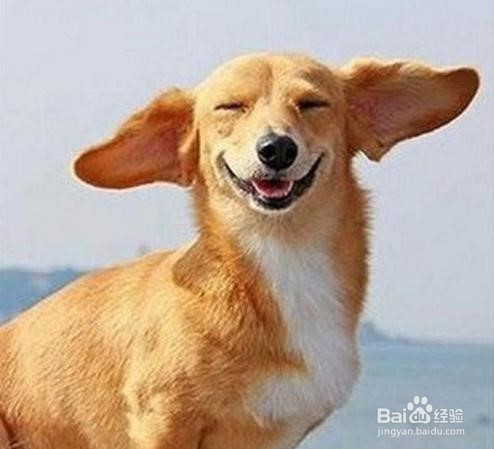 自己感到十分地失落,该怎么办?