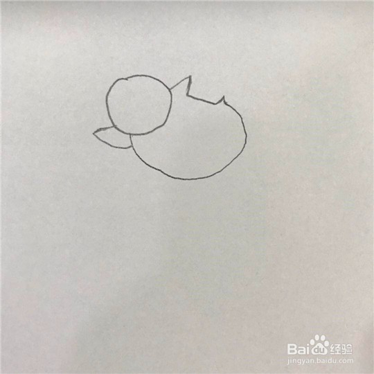 小鸡的简笔画画法