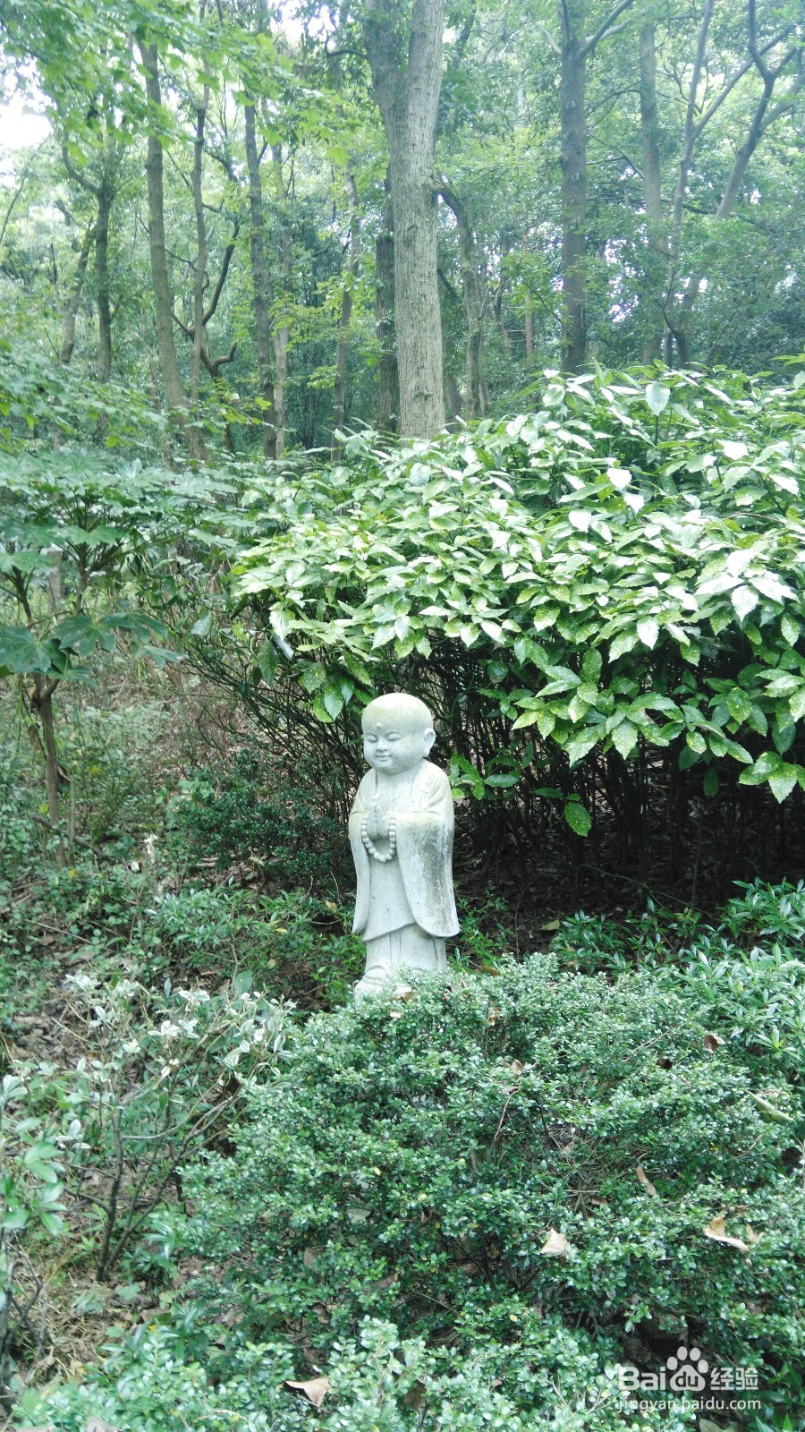 杭州三日游攻略(一)