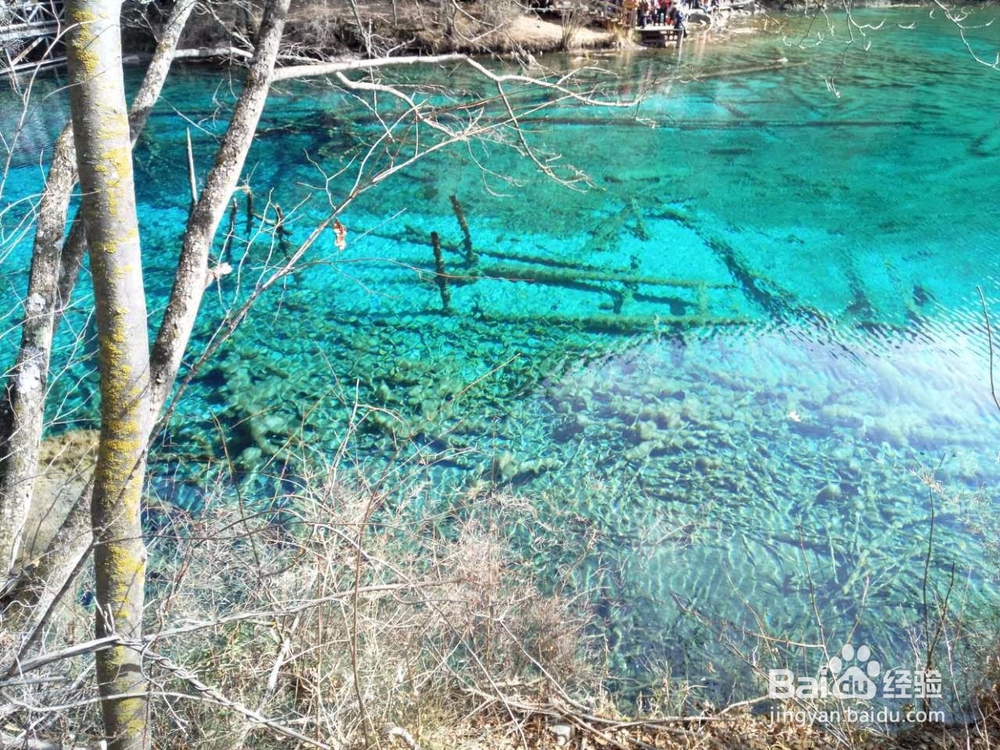 九寨沟冬季自驾游旅游攻略