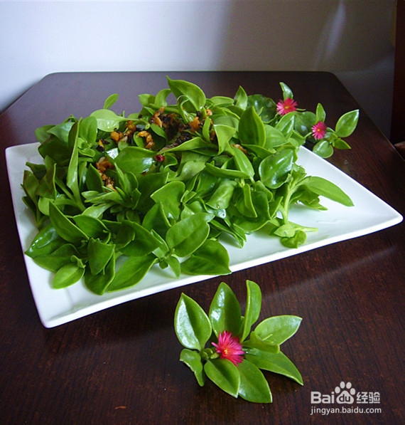 爽口凉菜——生拌穿心莲