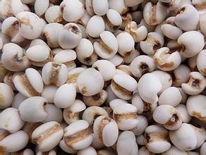 女人怀孕的时候不能吃什么?