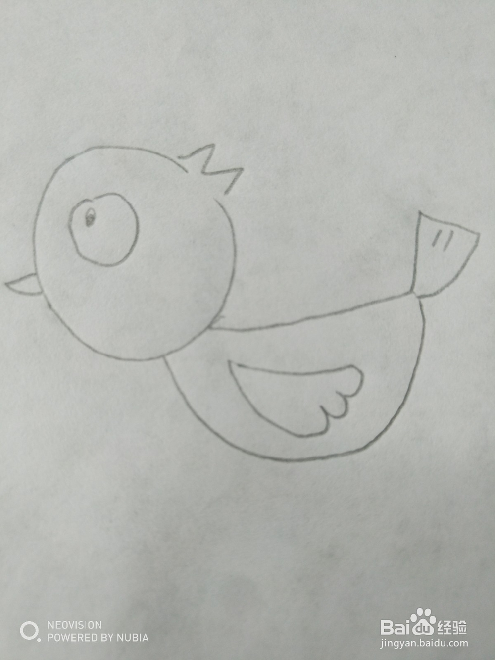 简单可爱的小鸟怎么画（四）