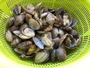 酱香炒花甲做法